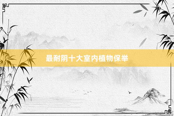 最耐阴十大室内植物保举